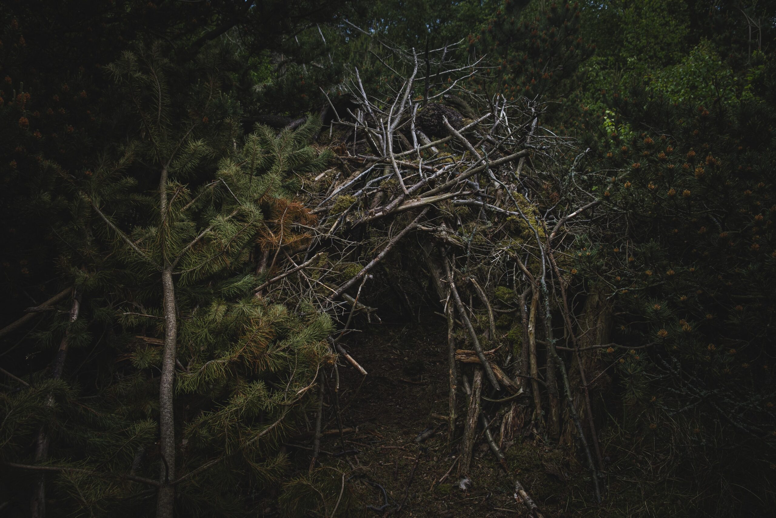 photo-1561029602-d6a0738a931e